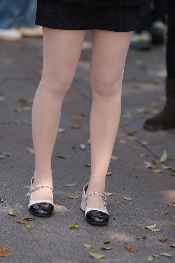 ��˿������2025.12.17��˿С�߸�