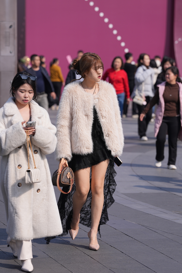 ��˿������2025.12.19����